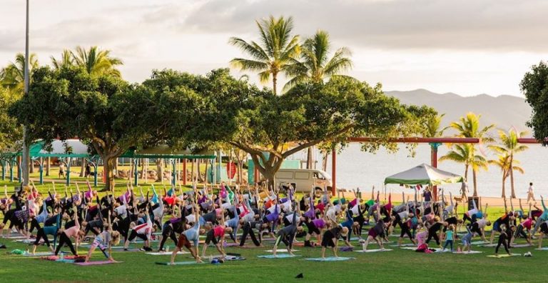 31698977 10215952989400821 2691261610441310208 o 768x396