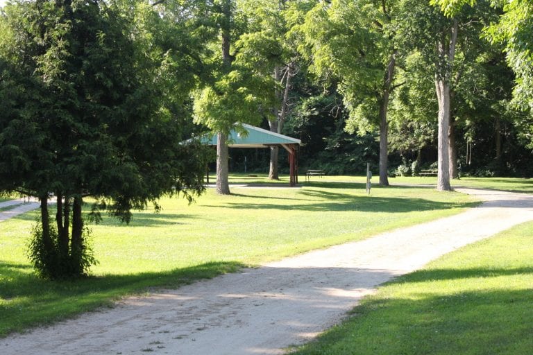 A1 Companion Care 768x512