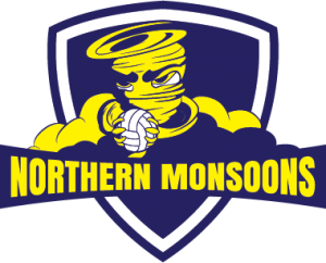 mosoonslogoBlueYellow copy 1 300x242