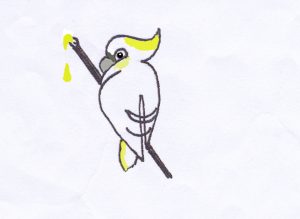 Art Society logo colour3551 300x219