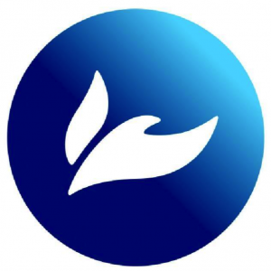 Icon1 300x300