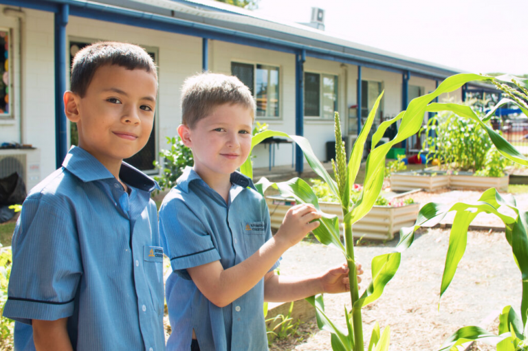 Screen Shot 2020 10 28 at 8.50.07 am 768x511