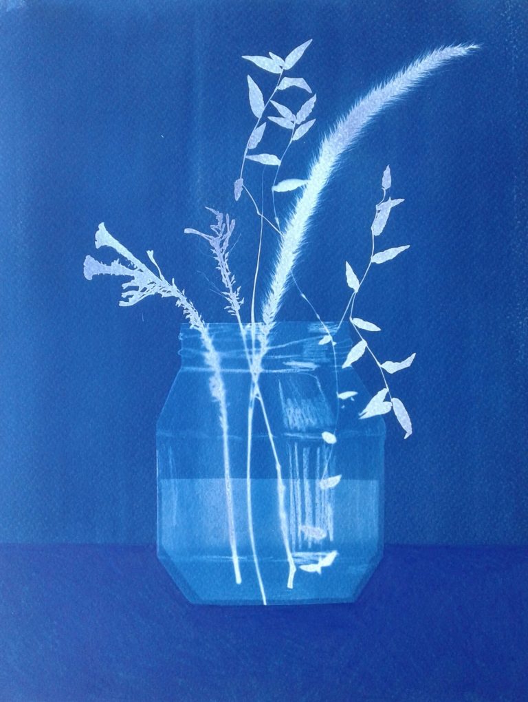 Erin Ricardo Pennys Garden 2021 Cyanptype print and pencil on paper 495x385mm 2 768x1020