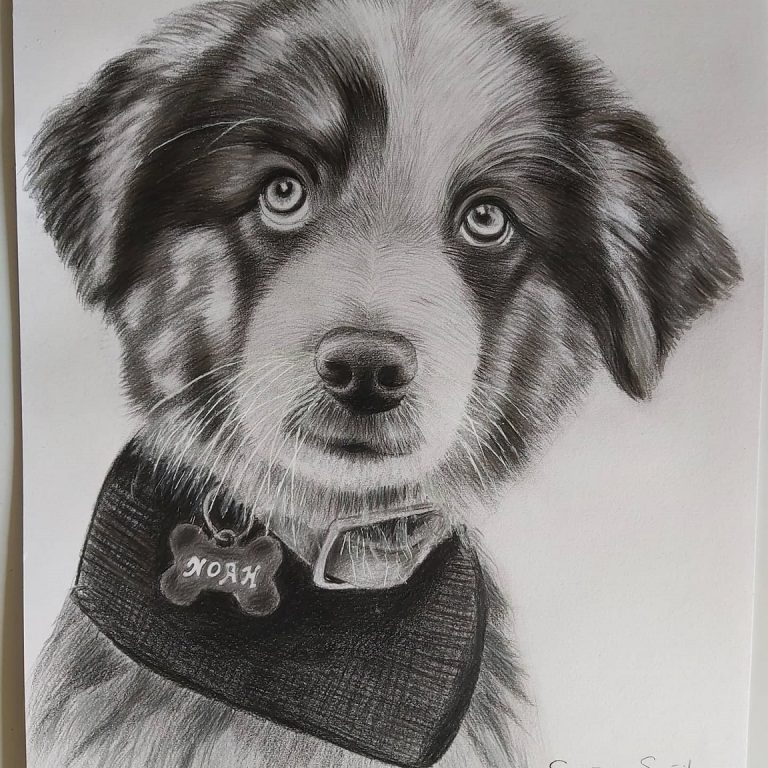 IMG 20210806 145526 853 1 768x768