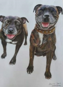 dog 216x300
