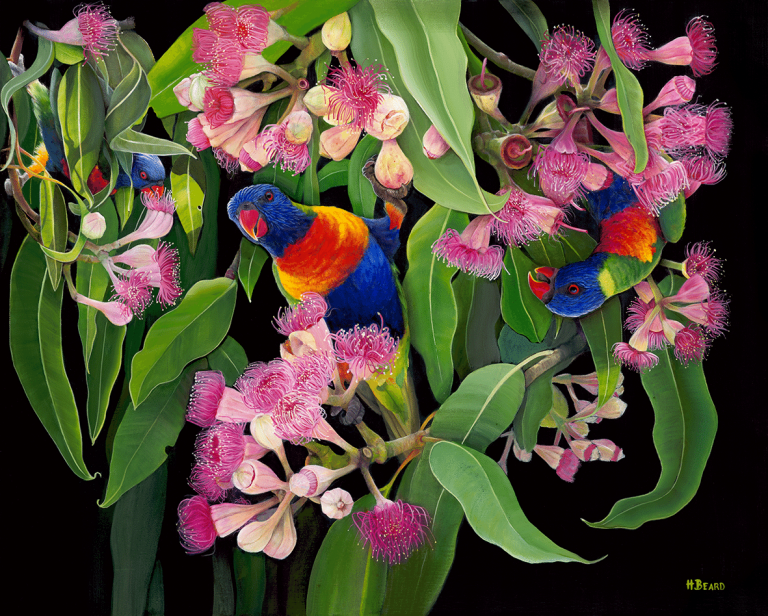 Haidi Beard 001 Lorikeet Gems 10 per cent Full File 768x616