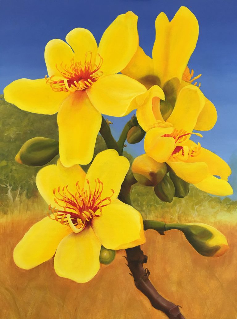 Winter Kapoks reduced file size 768x1031