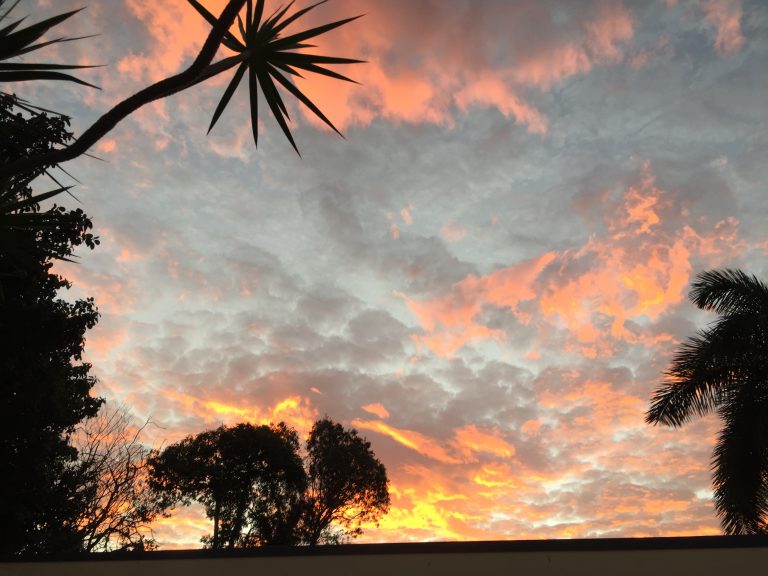 20210909 081156486 iOS 768x576