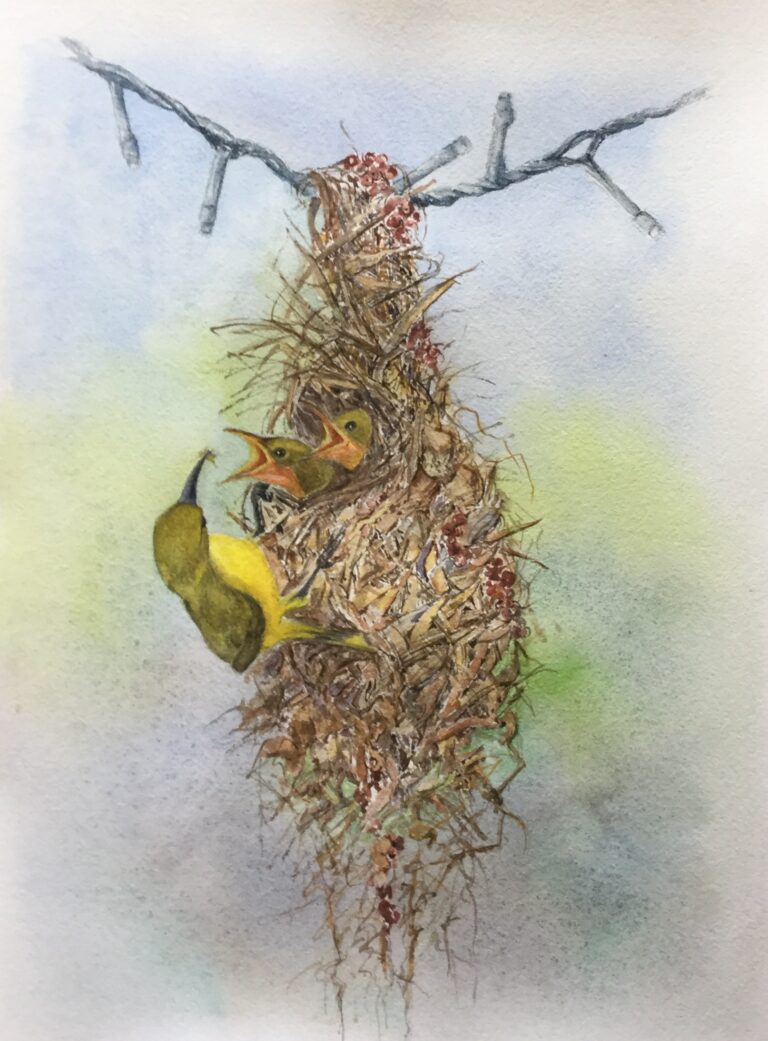 7E8D3DA6 A9FD 40D0 9E94 842F95880C7A 768x1041