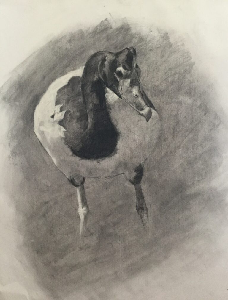 92C4D9DD 47B2 4A29 B000 E0EB8751A9A2 768x1008