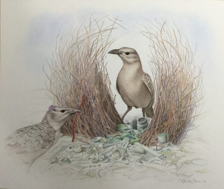 CF668303 5E70 46BD A9D8 AD5AD069A1EC 768x648