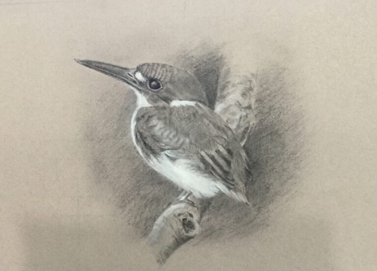 E87EFB34 A7DE 4261 859F 71B8C6CED3C1 768x552