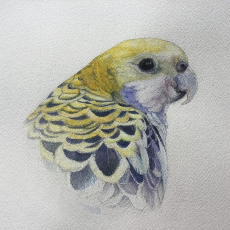 F8E188A2 351F 4231 8131 CA25F9FD394F 768x768