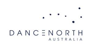 DN Logo 01 1 300x158
