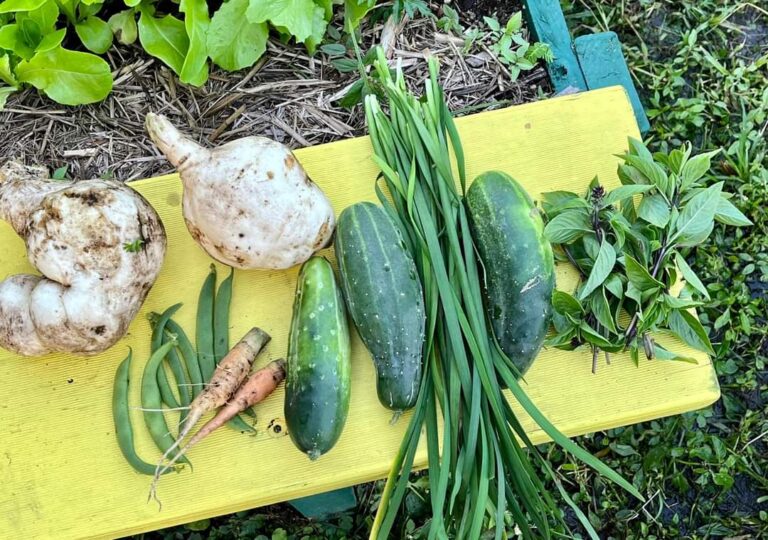 FB IMG 1658203395743 768x540