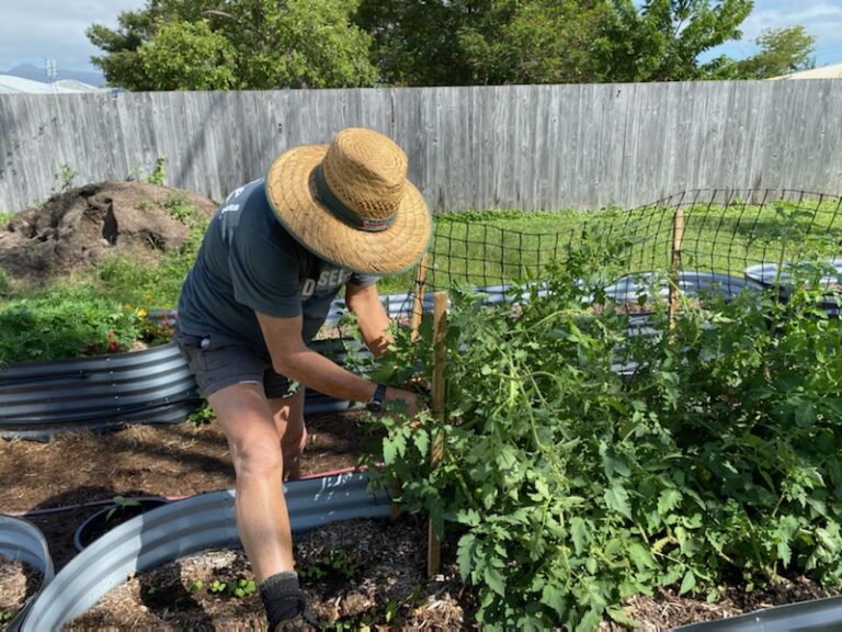 IMG 20220719 135739 768x576