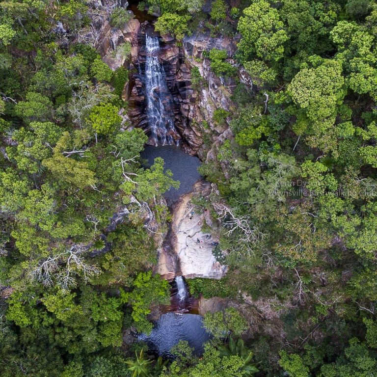 townsvillebushwalkingclub 121242319 152481623223350 2203963885227344011 n 1 768x768