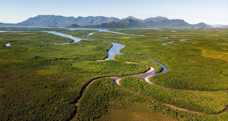 townsvillebushwalkingclub 127236505 2899976906915043 8564377415422117022 n 768x409