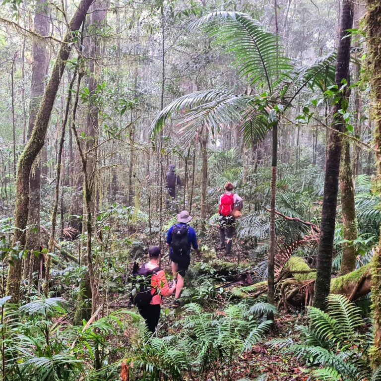 townsvillebushwalkingclub 159247853 2955725798047561 7322426797868375473 n 1 768x768