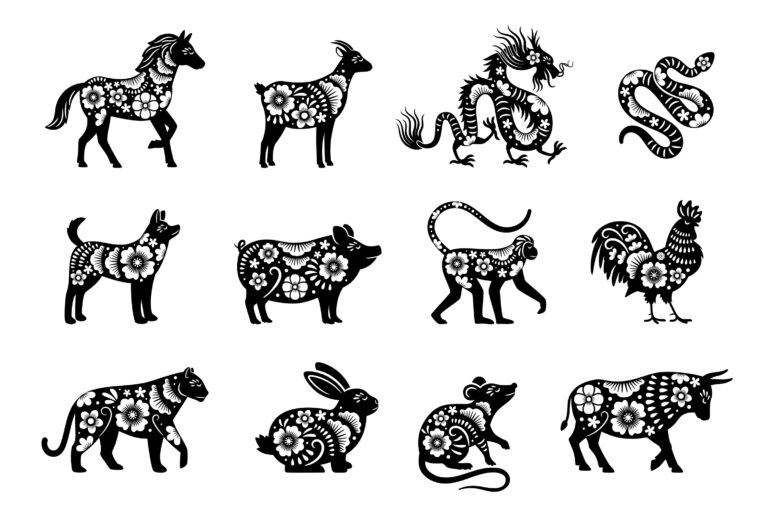 shutterstock 1562607835 768x512