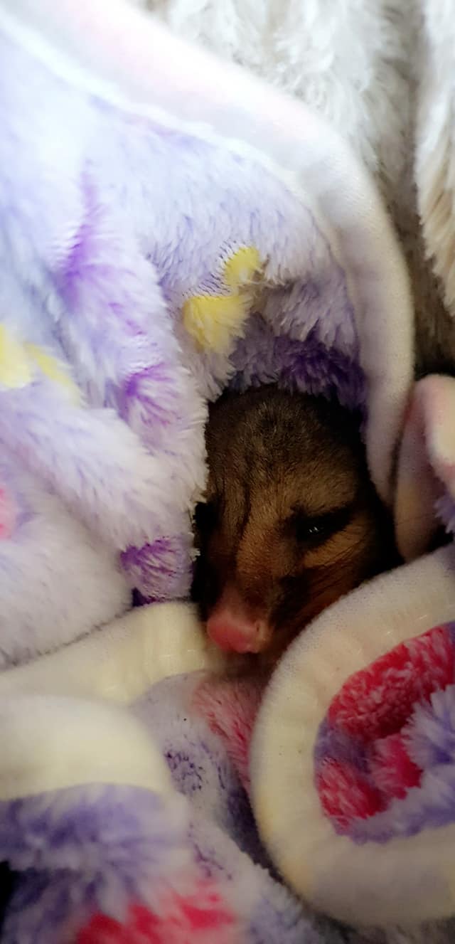 103313961 168328084667405 6729651352855593555 n