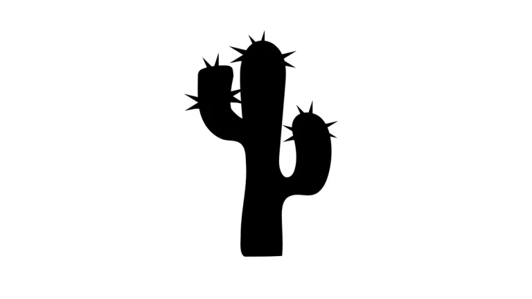 cactus 1 768x432