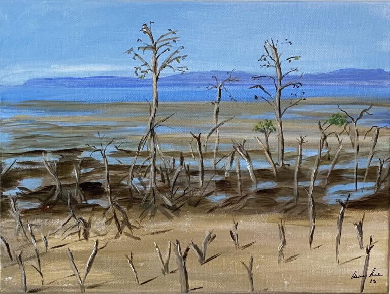 Laurna Love Mangroves Shelley Bay