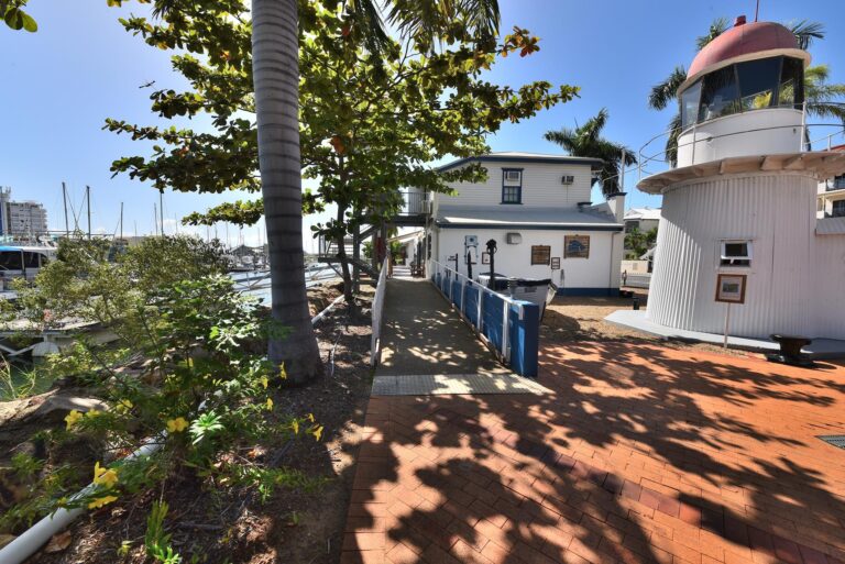 DSF 7208 01 Copy 768x513