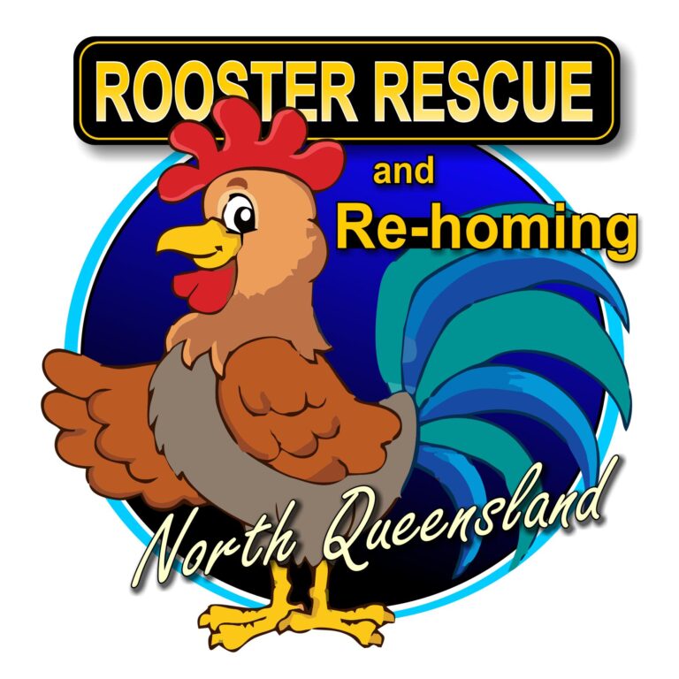 277779936 168412388900987 4944125427278486369 n 768x768