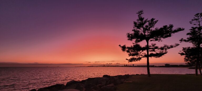 20220916 055030 768x346