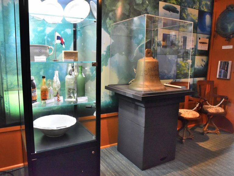 DSF 8389 01 Copy 768x576