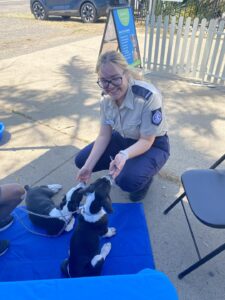 RSPCA - Community Information Centre